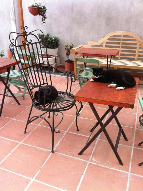 Bed & Breakfast Ai Frutti Di Una Volta Room&Breakfast Ferrara